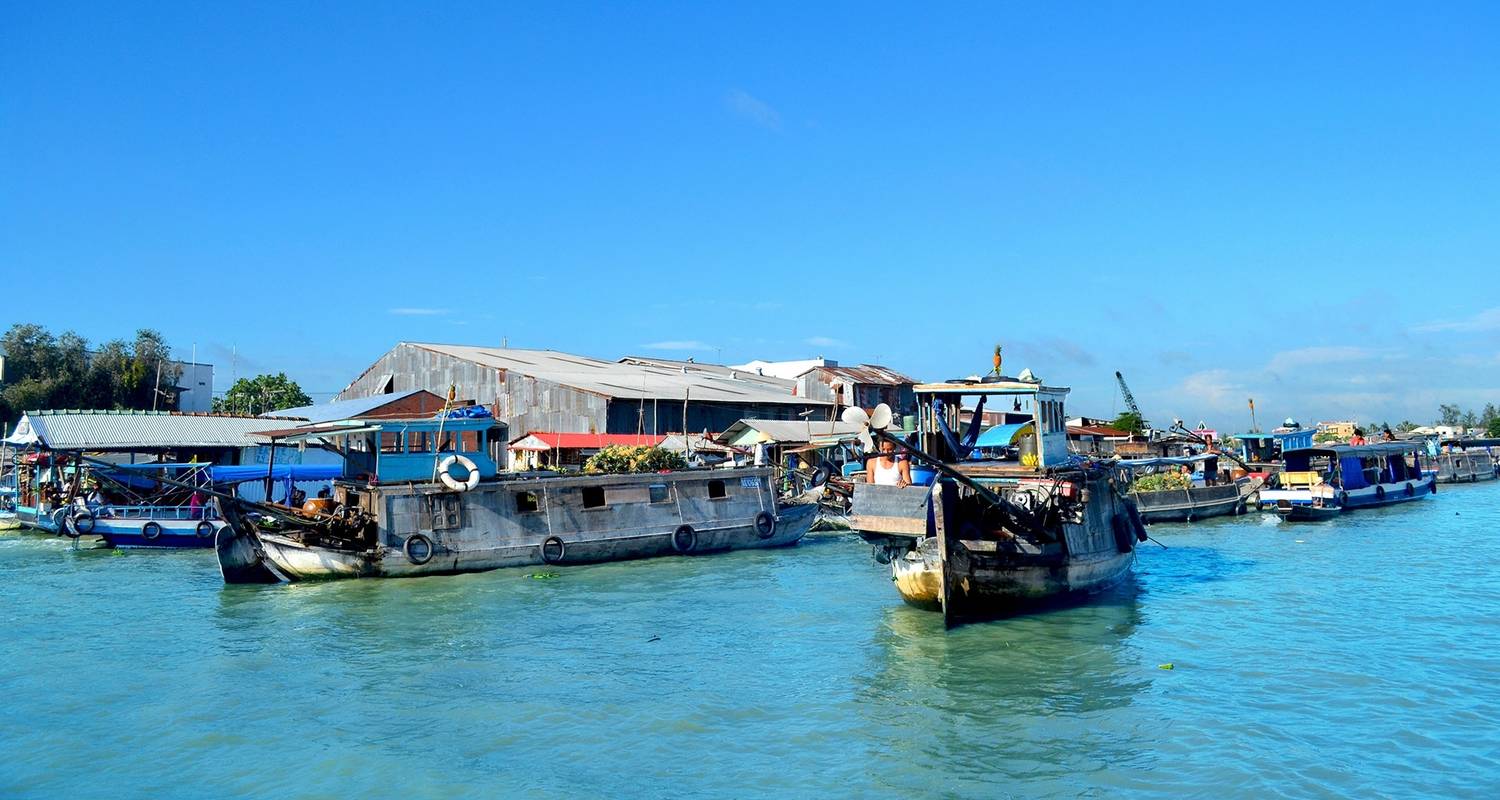 Descubrir Vietnam: Delta del Mekong a Sapa (privado a medida) - Odynovo