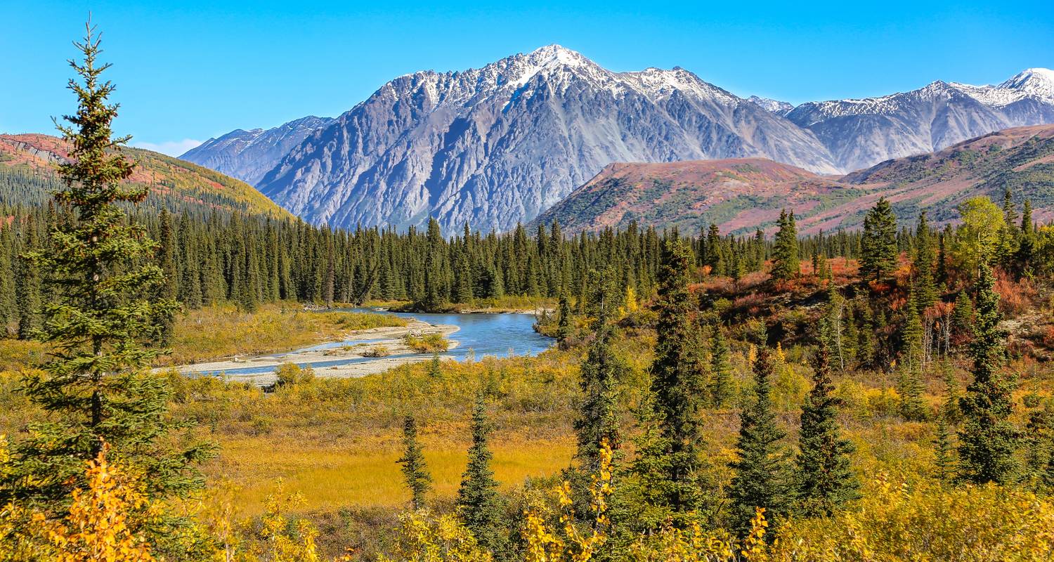 Mount Denali National Park Tours from Fairbanks