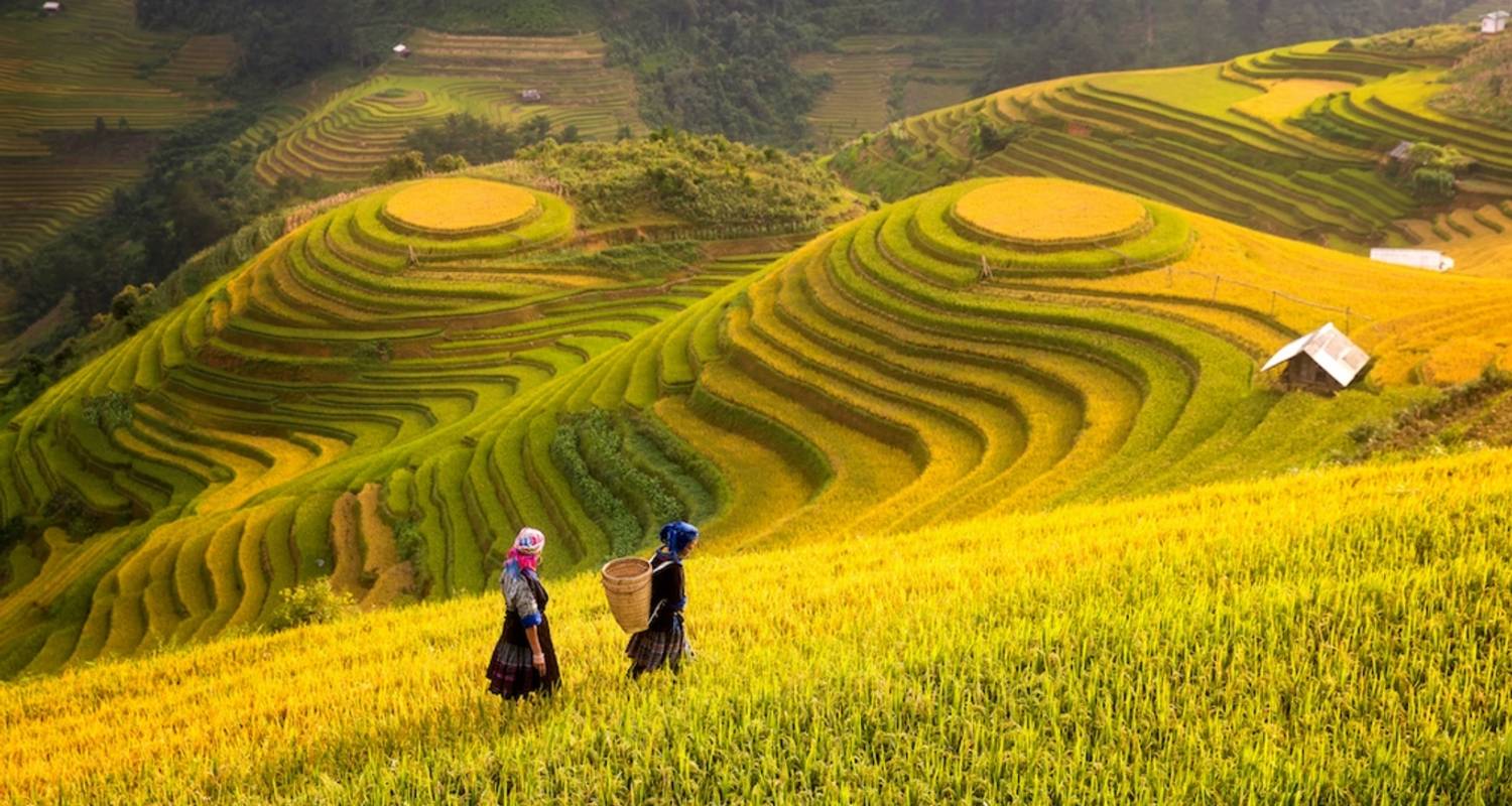 Admira la belleza salvaje de los montes de Vietnam en Sapa y el mercado de Bac Ha 3 días - Vietnam Responsible Tourism