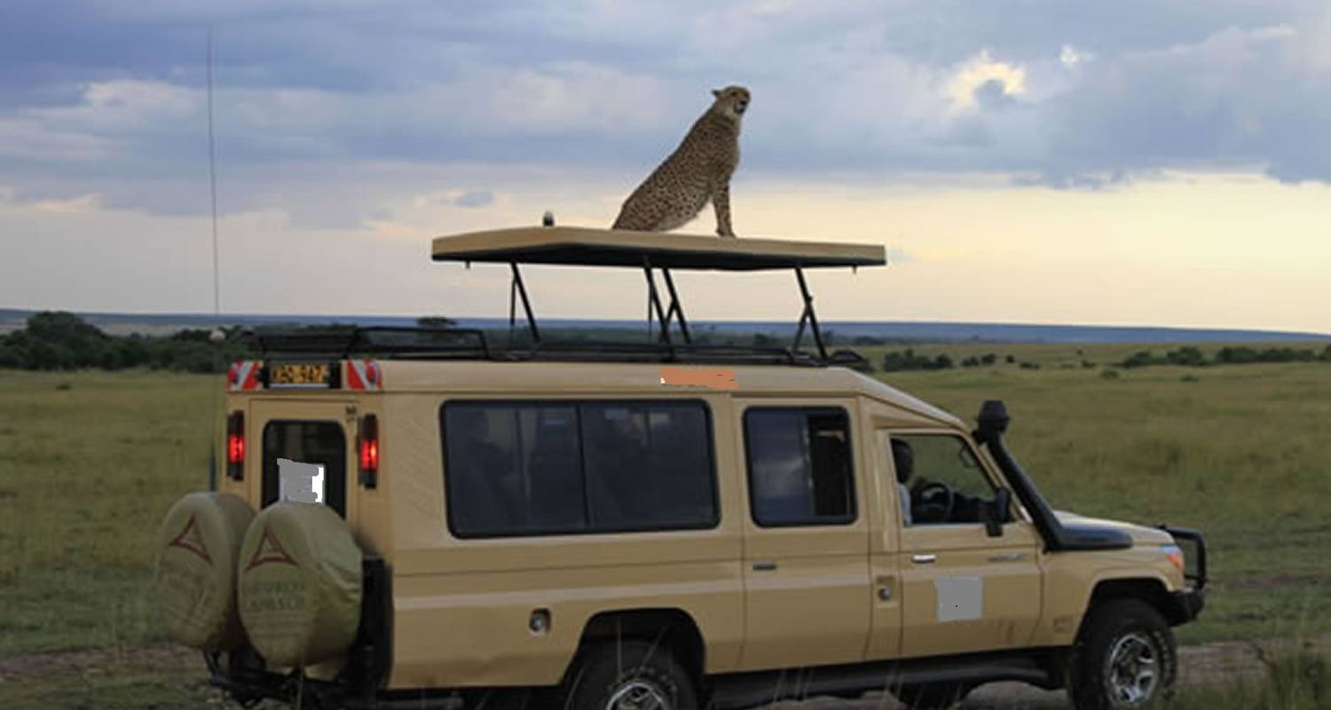 Safari de lujo de 9 días en Kenia - Gracepatt Ecotours Kenya