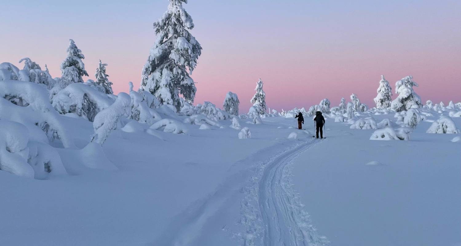 La magia invernal de Finlandia: aventuras bajo la Aurora Boreal - journaway