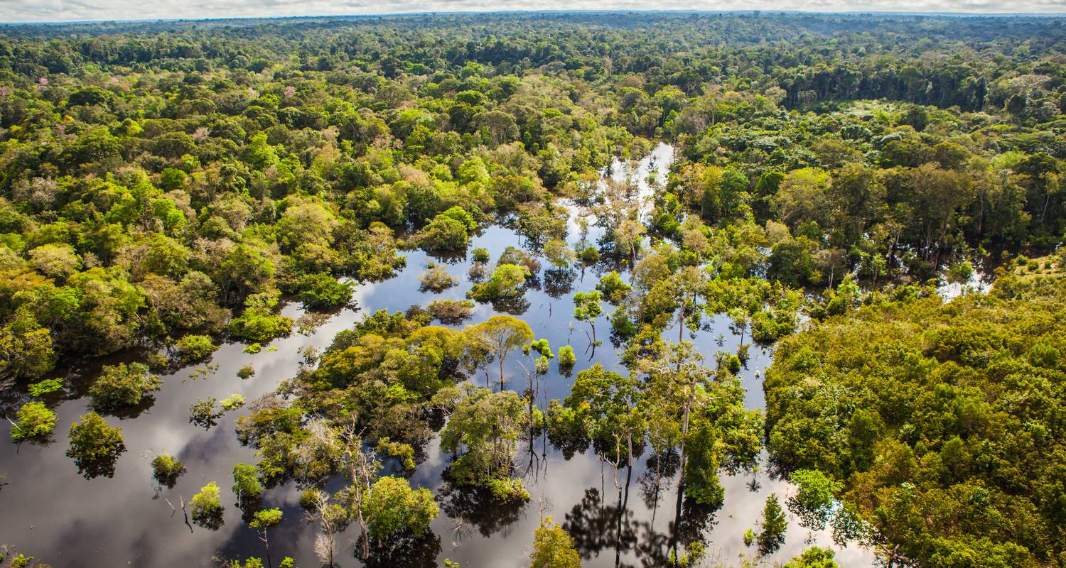 Aventure au Brésil : dans les profondeurs verdoyantes de l'Amazonie - journaway