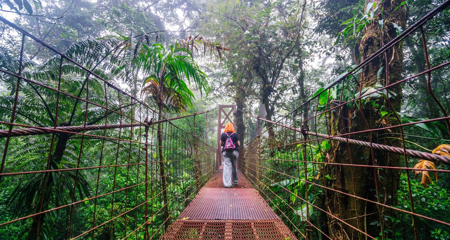 Costa Rica : Circuits trek dans la jungle 2024/2025