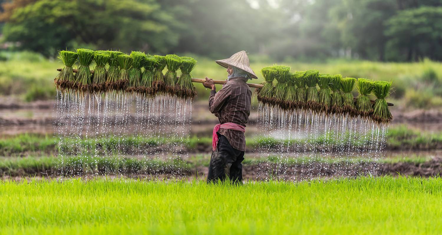 Laos Bucketlist: Onontdekte natuur & gouden tempels! - journaway