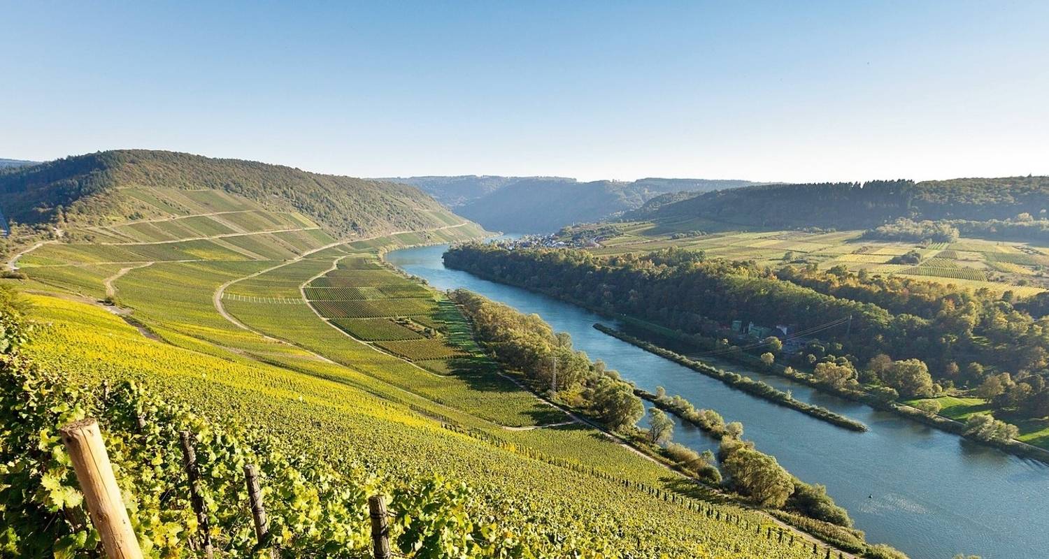 Moselle romantique 2024 (27 destinations) - A-ROSA