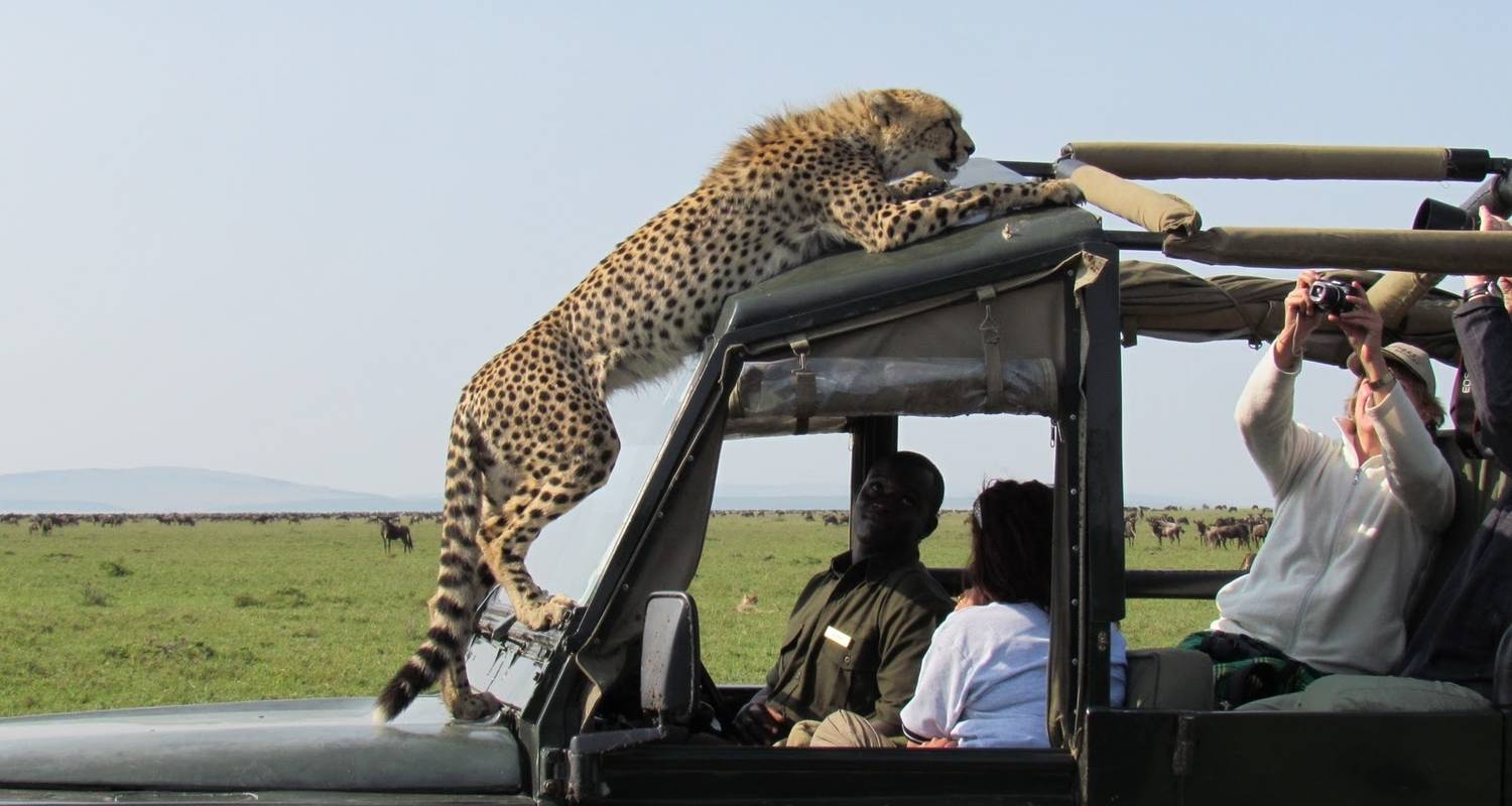 7 días de aventura safari Prueba a Kenia - Gracepatt Ecotours Kenya