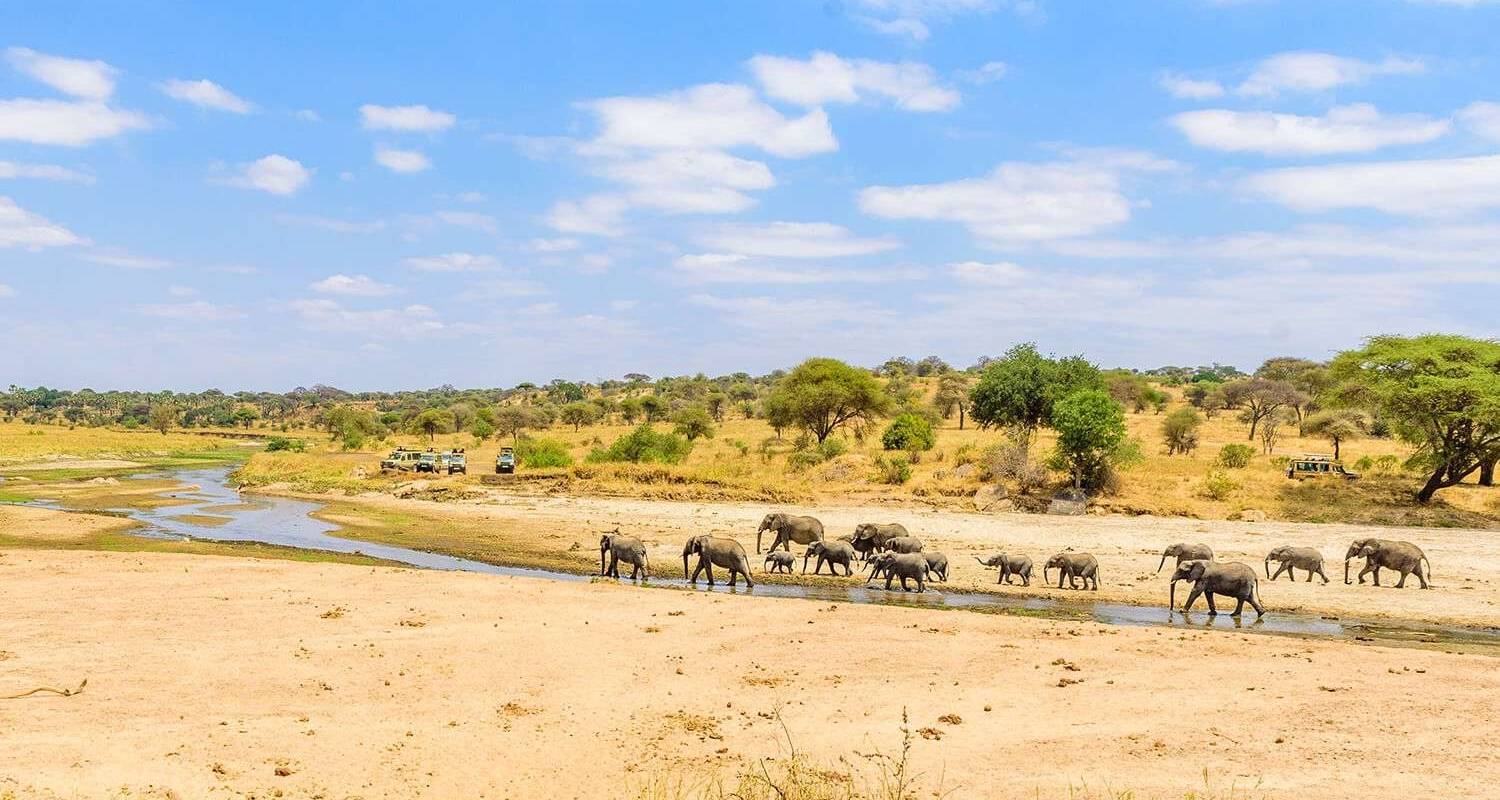 L'itinéraire parfait : Première fois - 2 jours en Tanzanie - Tarangire et cratère du Ngorongoro à un prix raisonnable. - Africa Natural Tours