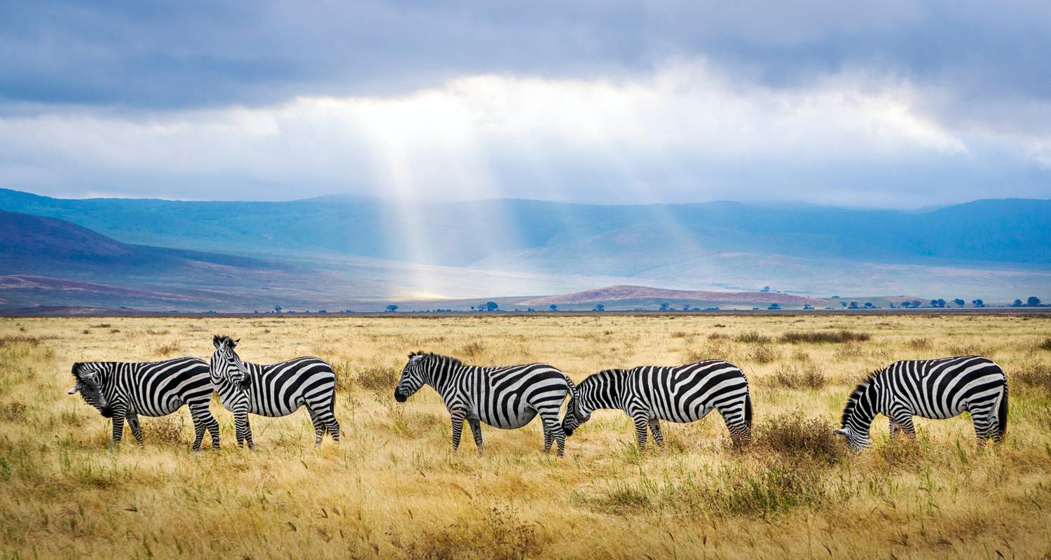 Le safari ultime de 9 jours en Tanzanie : Une expérience de classe mondiale - Africa Natural Tours