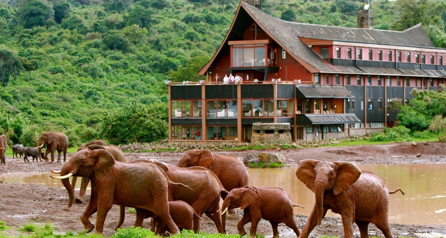 Aberdare und Samburu Luxus Lodge Jeep Safari - 4 Tage - Gracepatt Ecotours Kenya