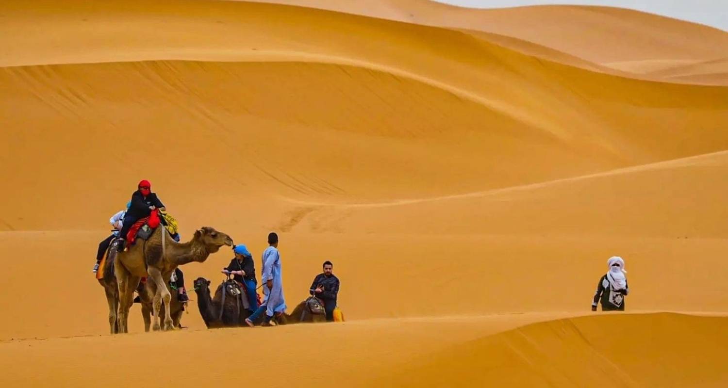 Excursión de 2 días y 1 noche por el desierto Sahara Exprés Desde Marrakech: Al Campamento del Desierto de Erg Lihoudi - Morhara Morocco Tours