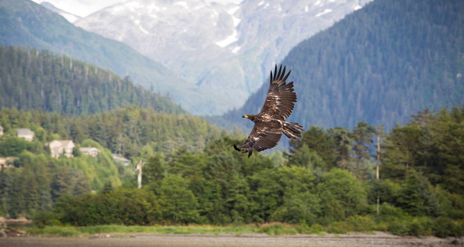 Wildernis, gletsjers&cultuur | Southboundagen - Hurtigruten