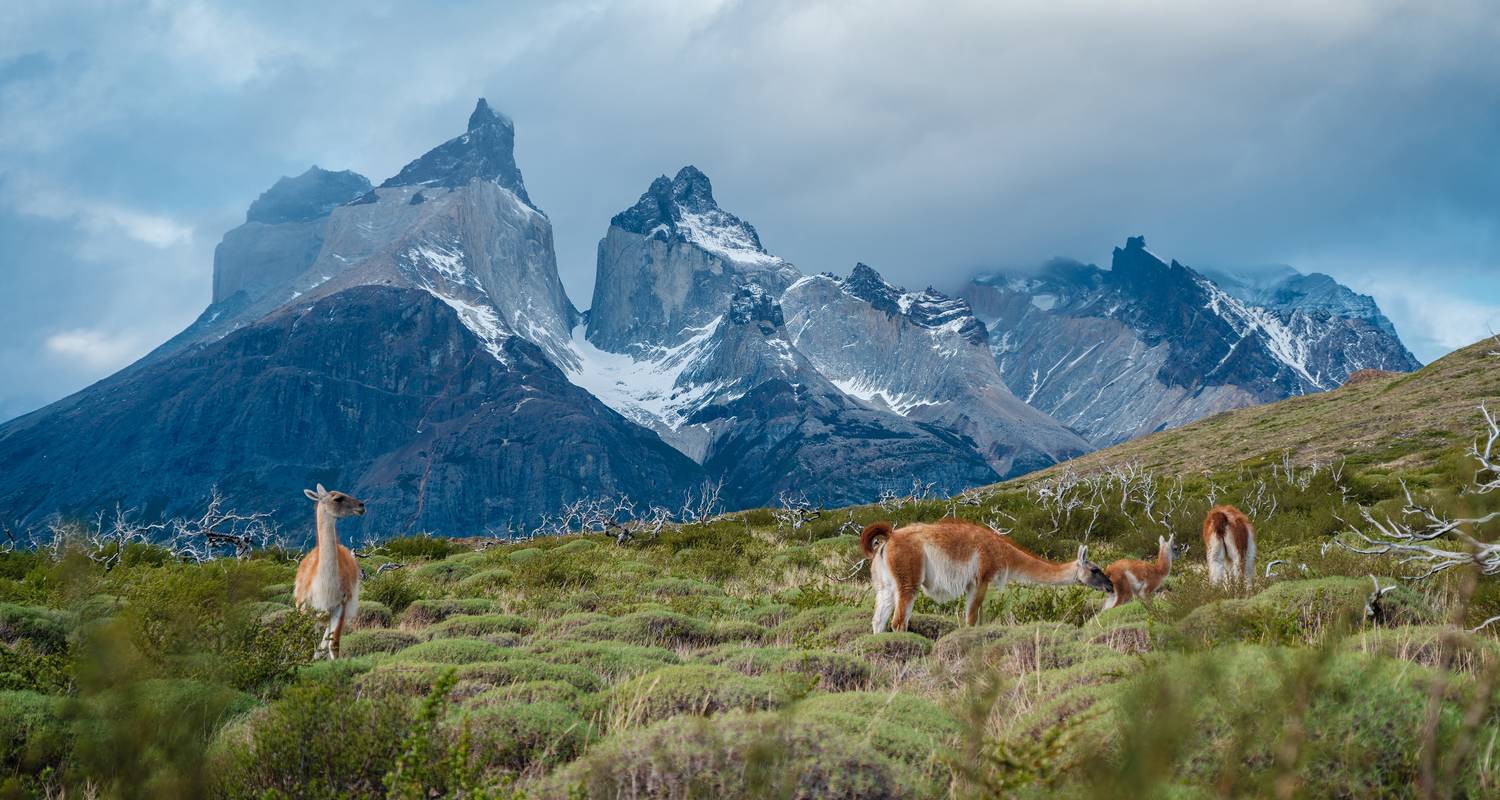 Diepgaande expeditie door Patagonië & de Chileense fjorden – 2024 (van Palermo naar Chios) - Hurtigruten