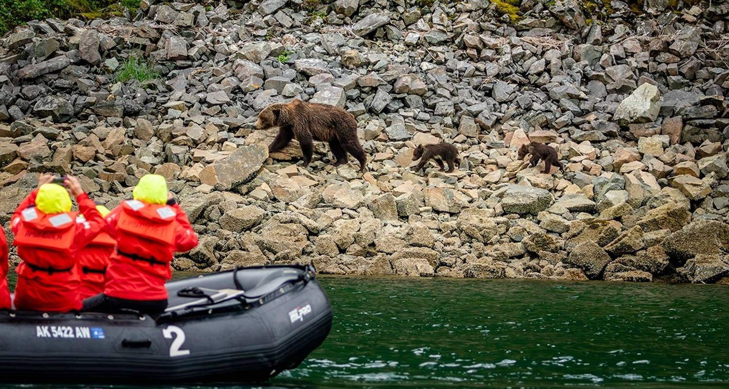 Inside Passage, Ours et Iles Aléoutiennes | vers le sud (MS Roald Amundsen) - Hurtigruten