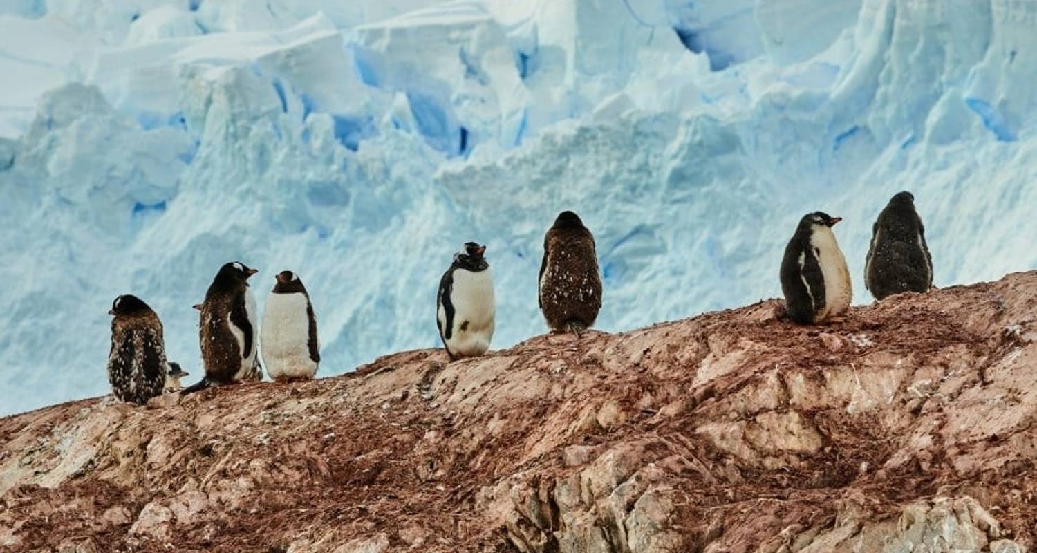 Antarctica & Falklands Expedition Northbound (2024) by Hurtigruten