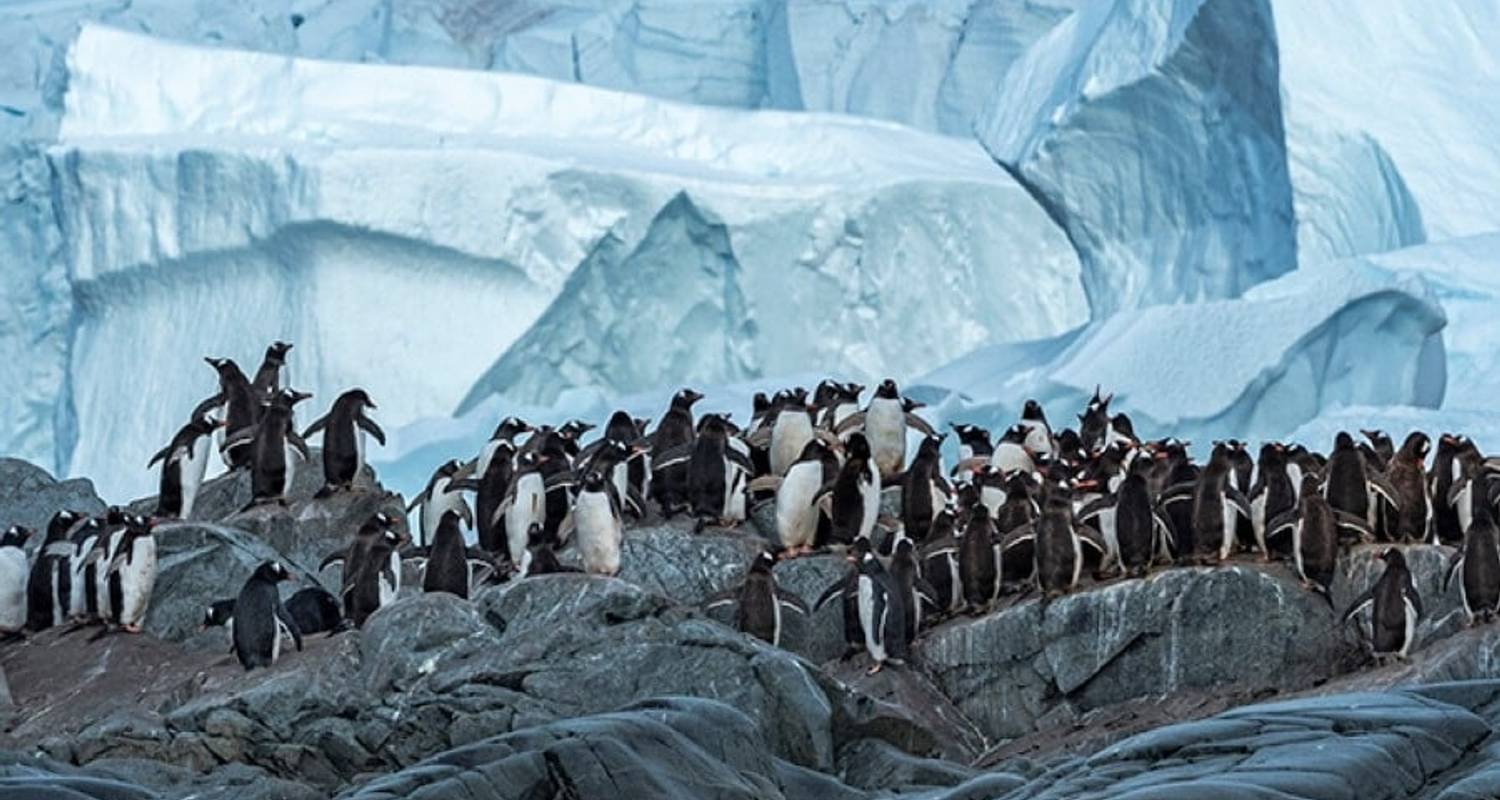 Expedición Antártida y Patagonia - Rumbo sur - MS Roald Amundsen - Hurtigruten