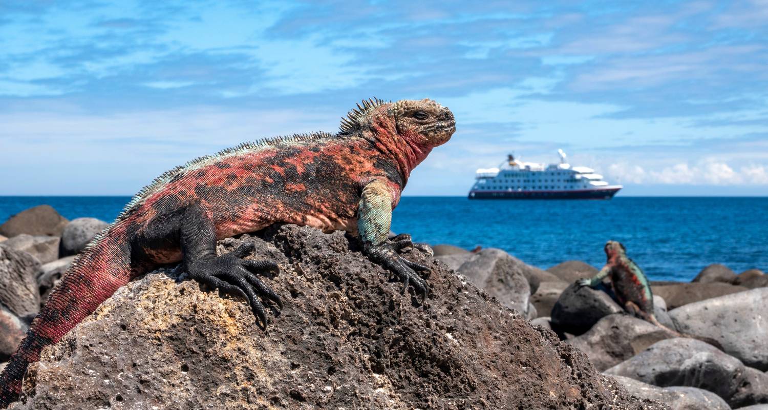 Neuf des meilleures îles - Hurtigruten