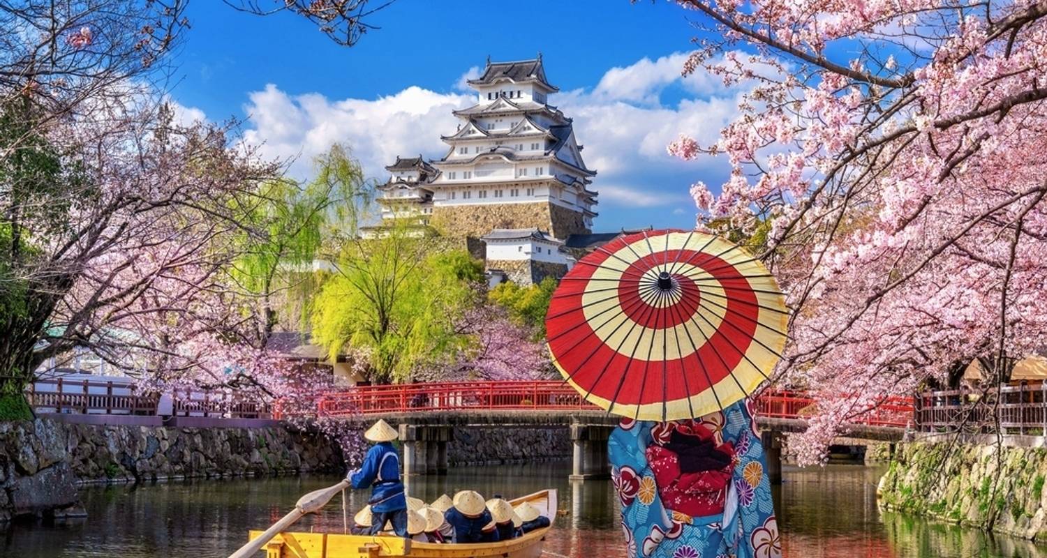 Japan Tours for Solo Travelers