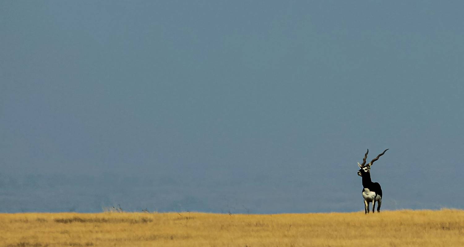 Gujarat Tours & Trips