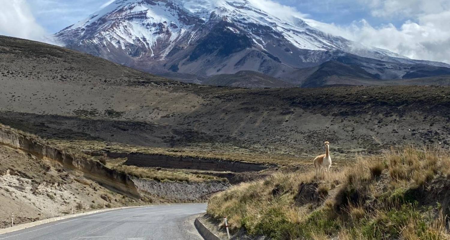 Onthulling van het beste van Ecuador Kleine Groepsreis - Ecuador Wonders