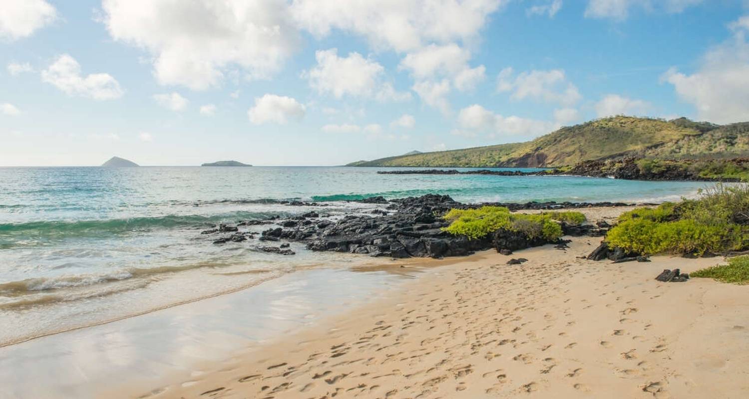 Galapagos - Central, West & East Islands aboard the Archipel I - Explore!