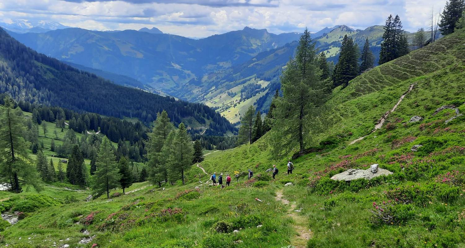 Österreich - Genusswandern am Berg & im Tal der Almen - Travel To Life