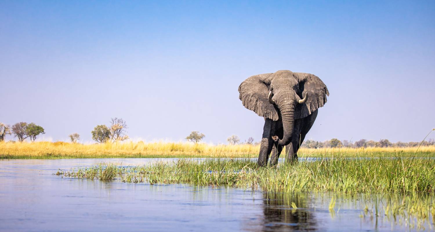 KODA SAFARI - 10 NIGHTS - Zimbabwe to Botswana - Koda Sail