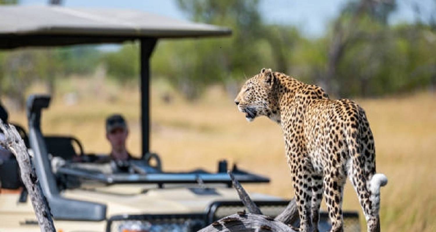 Afrikanische Big 5 Safari 6 Tage - Africa Natural Tours