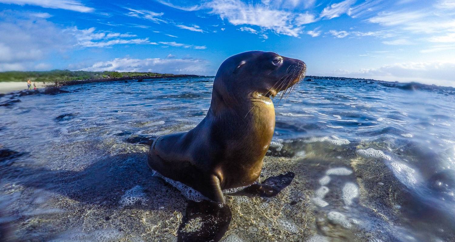 Galapagos privéspullen - Adventure Journeys