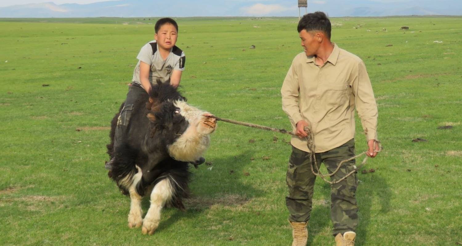 Nomadic Mongolian Experience