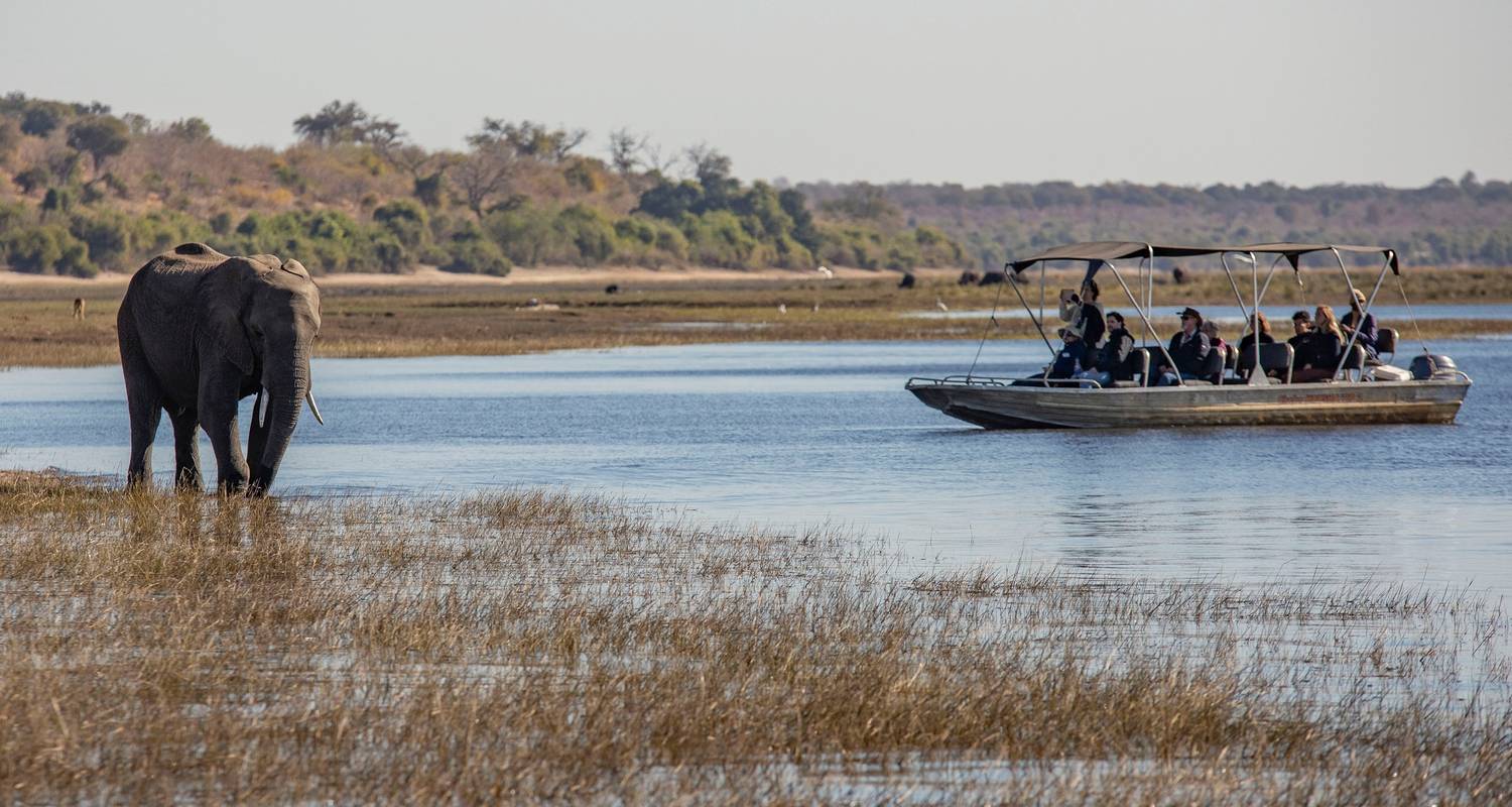 Geluxe: Zimbabwe & Botswana: Chobe, Hwange & Lake Kariba - G Adventures