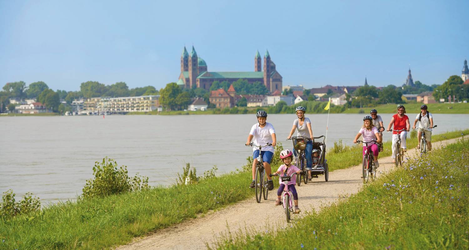 De wijngebieden Rheingau & Pfalz – zelfgeleid - Terranova Touristik