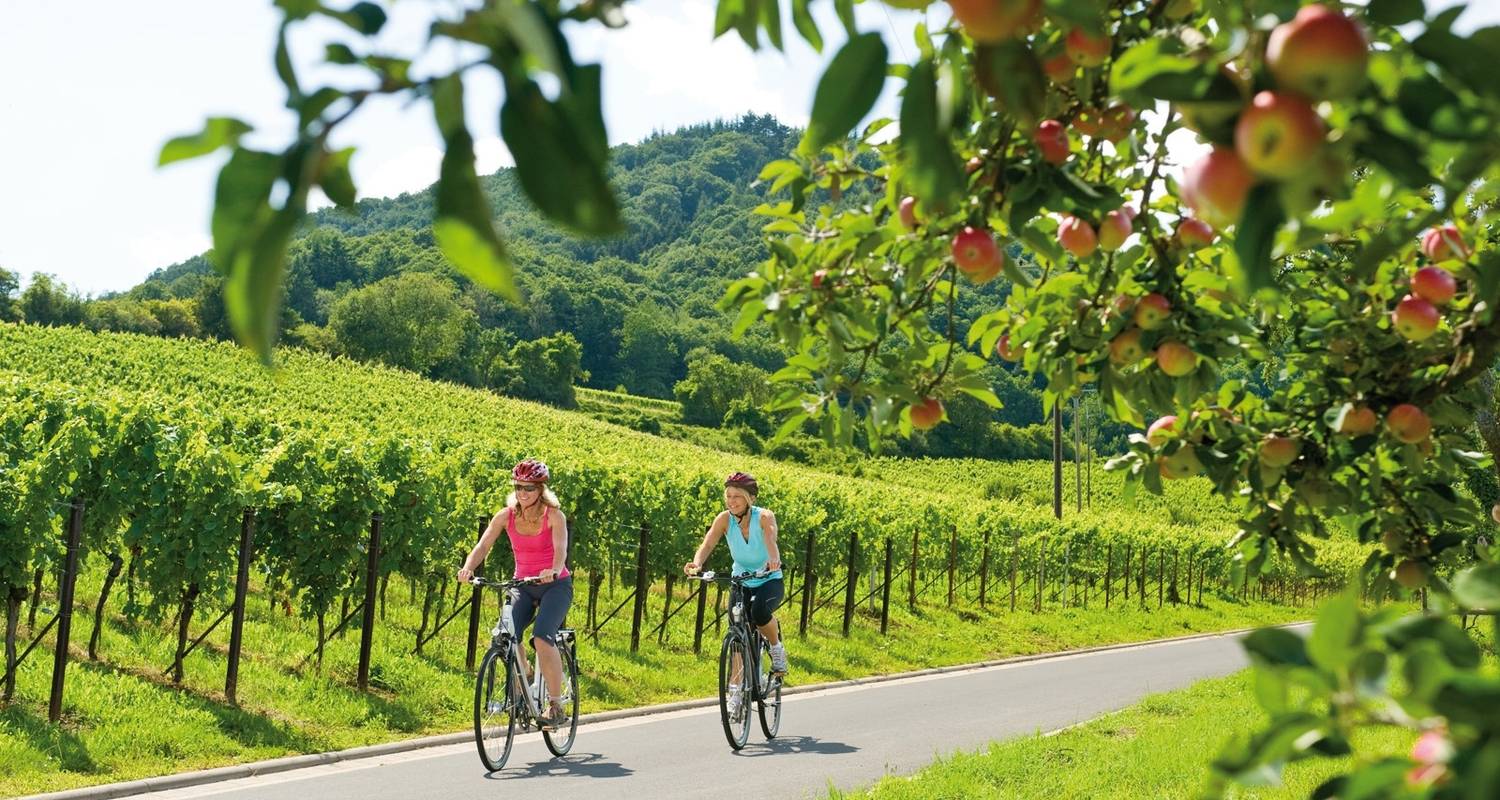 Piste cyclable de la Moselle | Voyage à vélo individuel | de Trèves à Coblence | 6 jours - Terranova Touristik