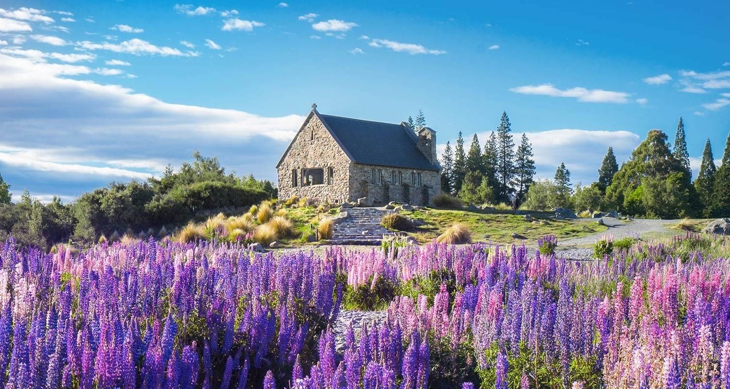 Increíble Nueva Zelanda de Christchurch a Auckland (2024) - Travel Marvel