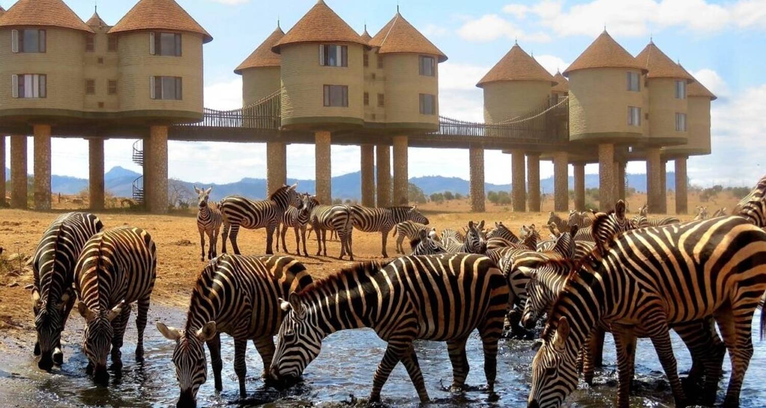 3 Days Saltlick And Tsavo West Luxury safari From Nairobi - Gracepatt Ecotours Kenya