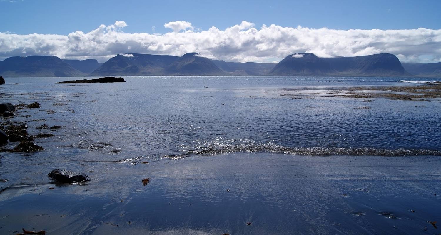 7 Days Northern Lights Secrets - Westfjords