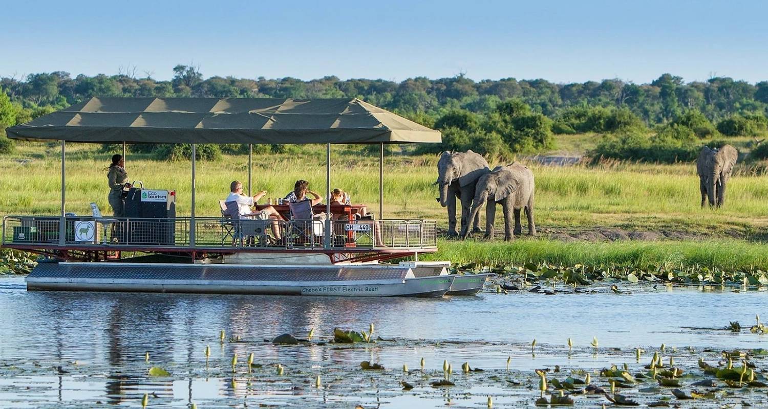 Christmas & New Year Tours in Botswana and South Africa