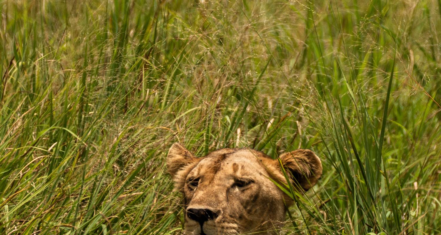 Tarangire National Park Big Five Safaris