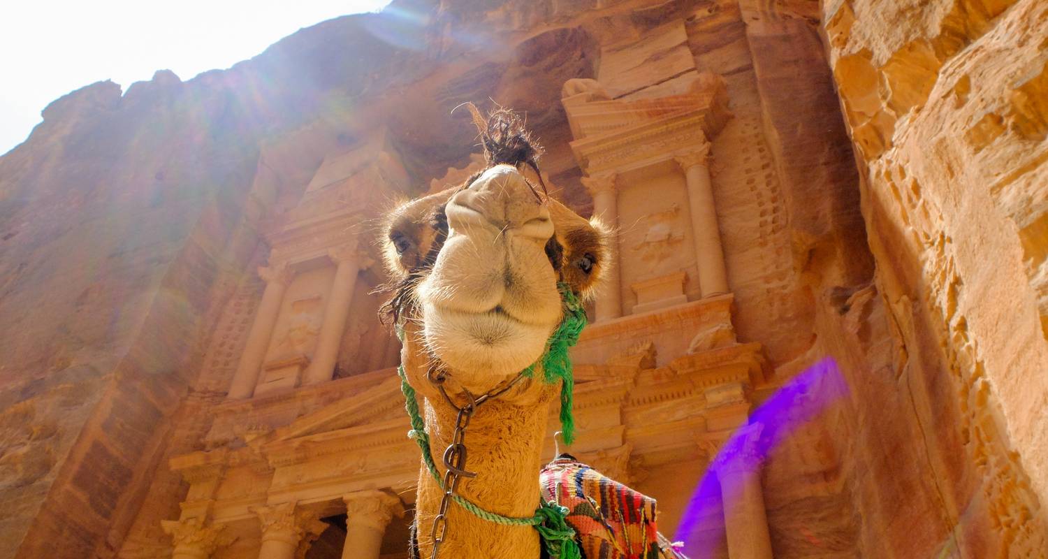 Excursión de un día a Petra (Privada - a medida) - Why Jordan Tours