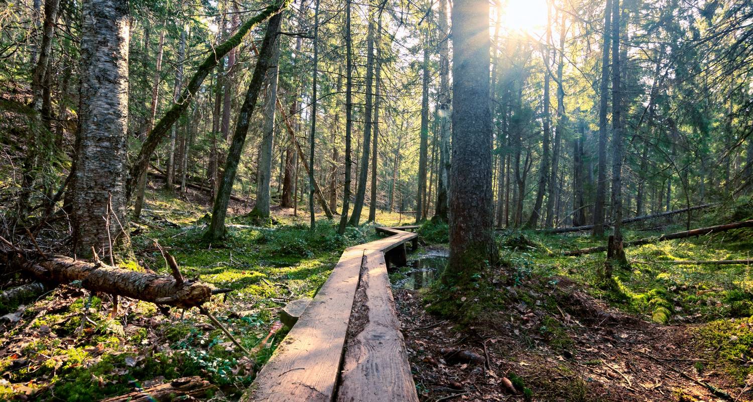 Zweden & Finland: Kusthoppen op een avontuur aan de Oostzee - journaway