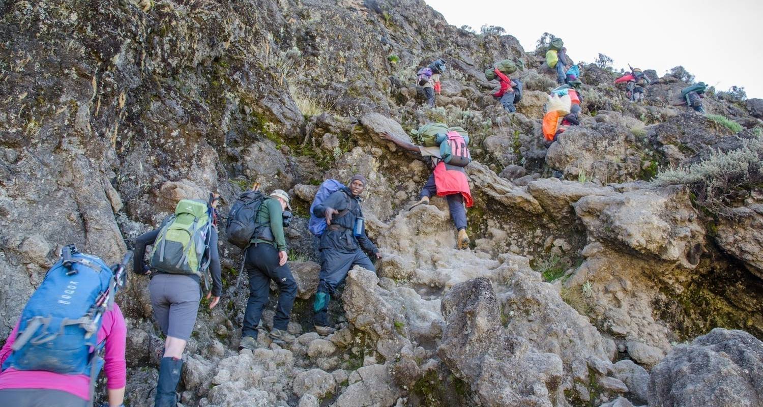 Escalada al Kilimanjaro ruta Machame 7 días - Authentic Africa