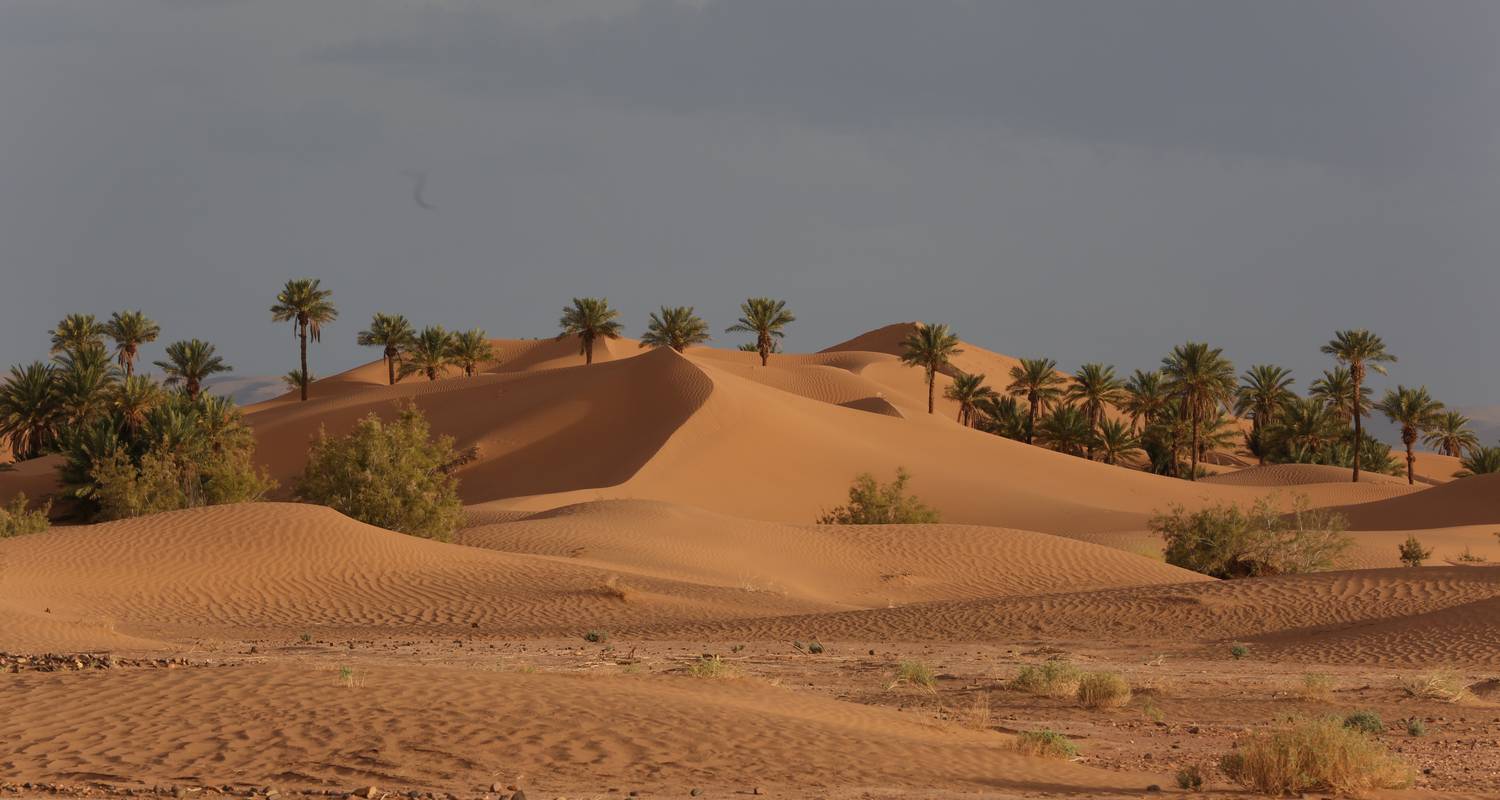 3-Day Desert Adventure Tour from Marrakech to Chegaga - Tilila Trips