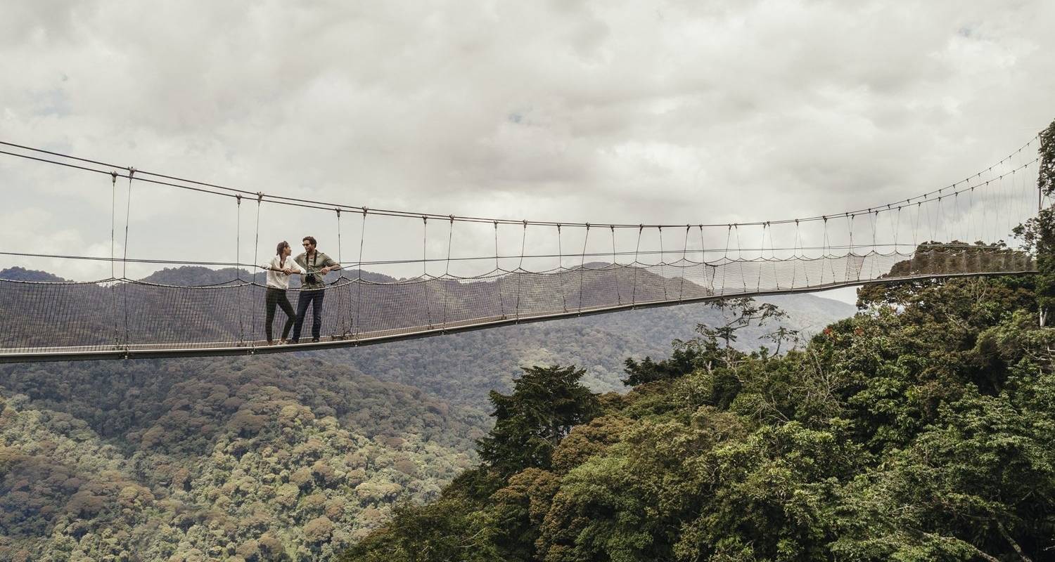 Safari de 5 días por Ruanda con gorilas y chimpancés - Friendly Gorillas Safaris