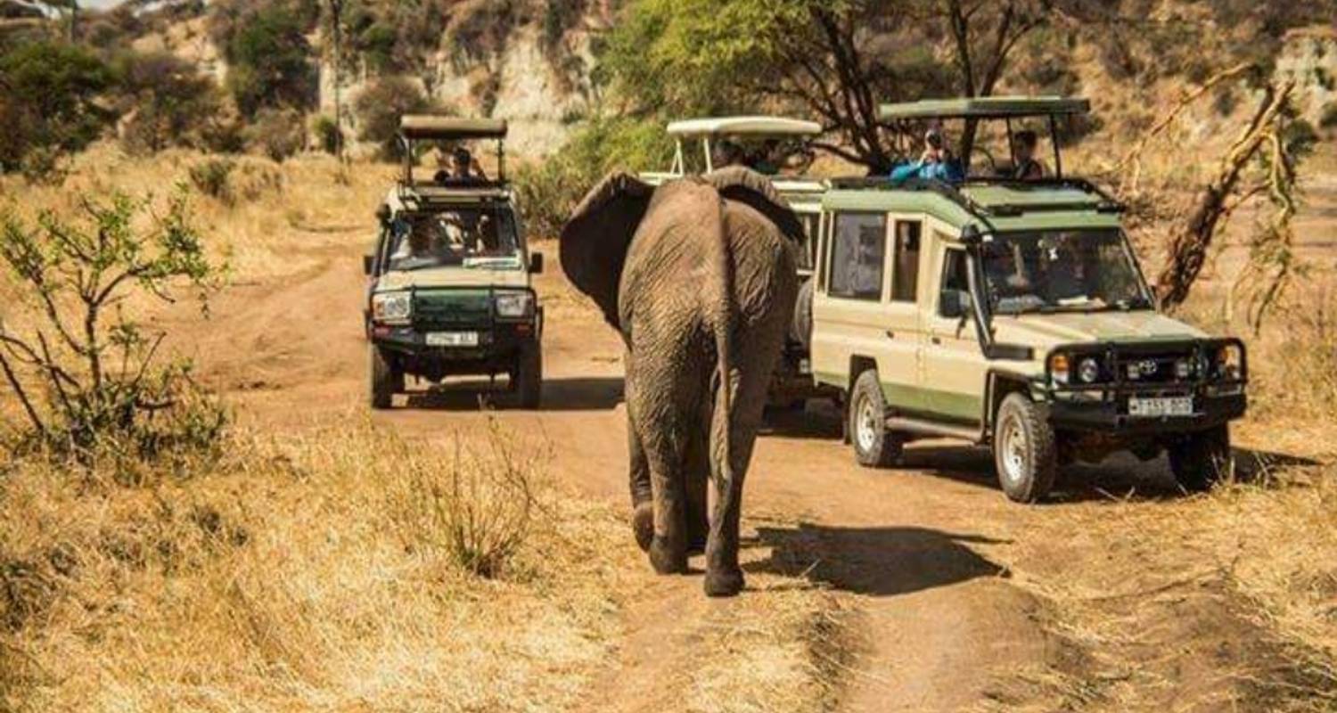 Circuito de un día al Parque Nacional de Tarangire - Spider Tours and Safaris