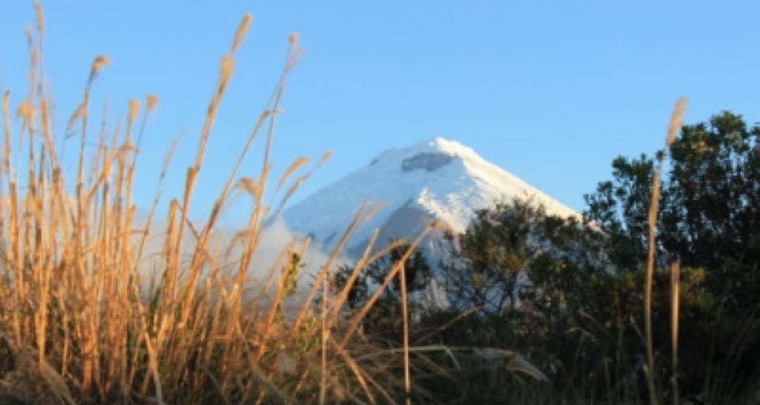 Cotopaxi Wildlife Trekkingen