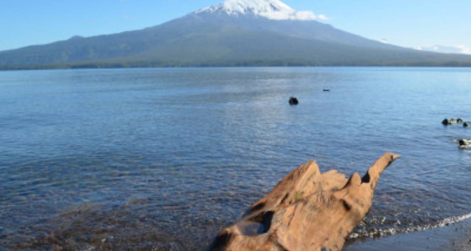 Patagonia Circuitos desde Puerto Montt