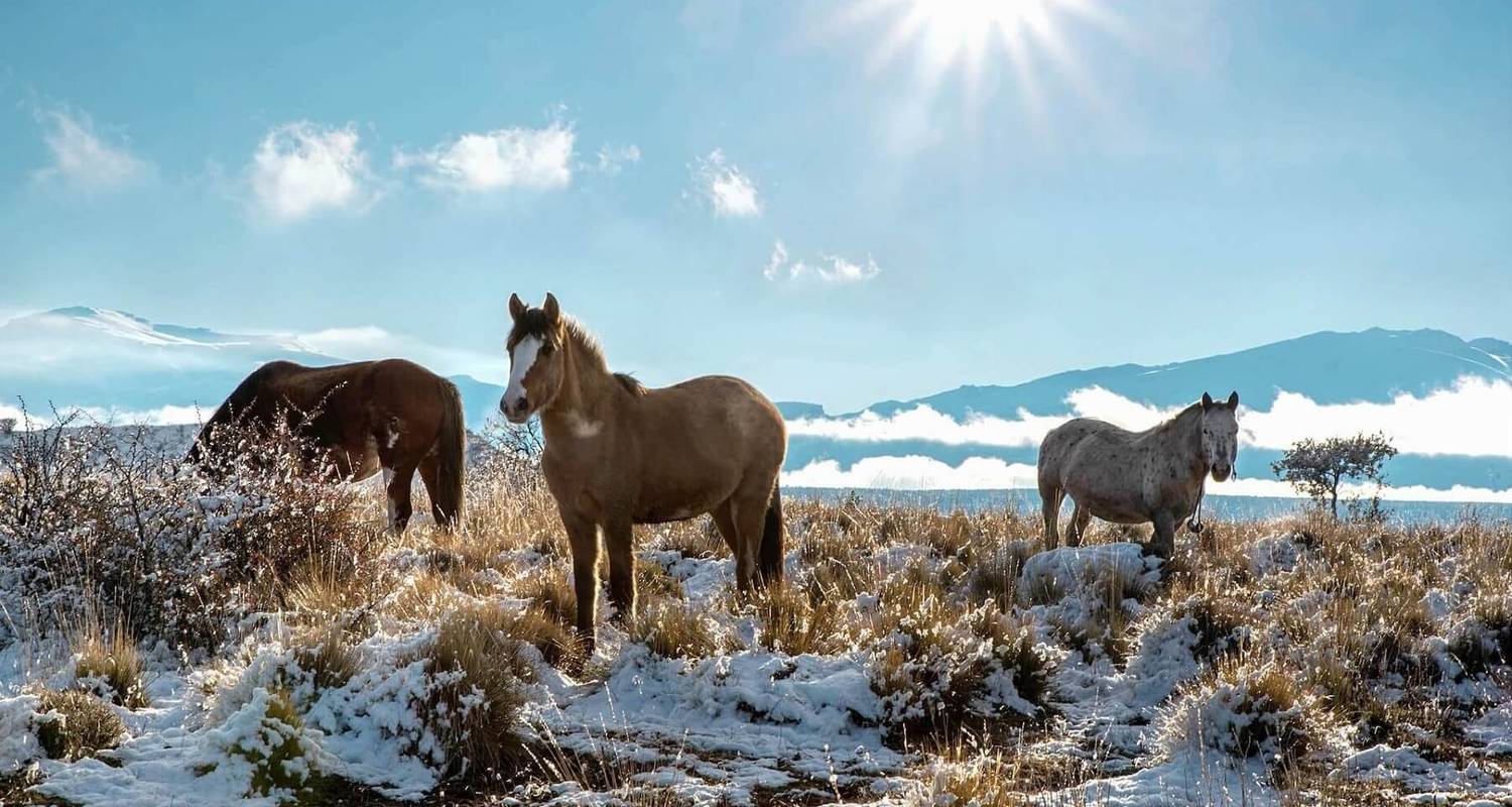 Mongolei Familienreisen