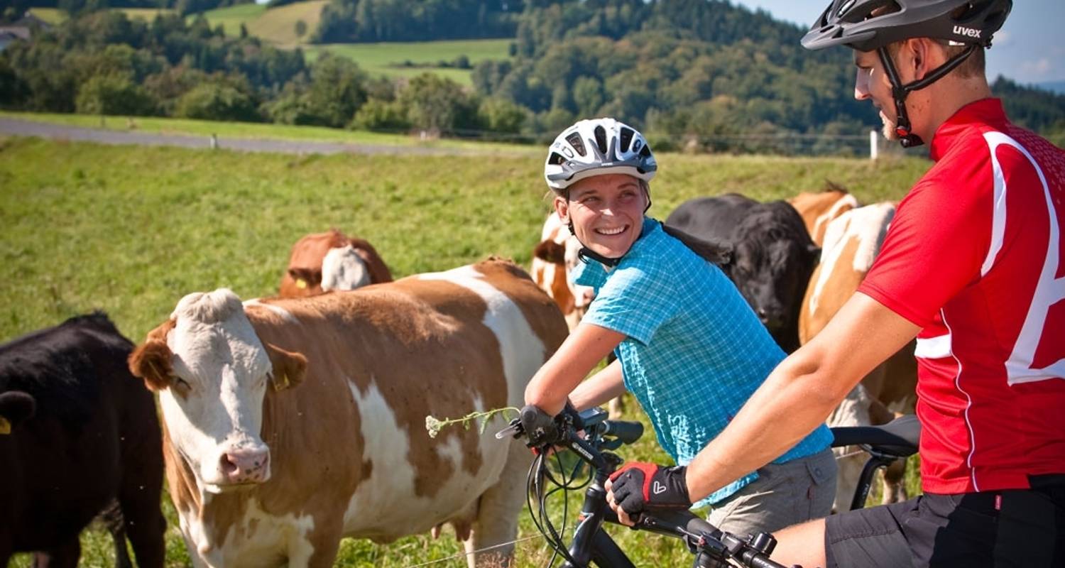 Self-Guided Cycling Tours & Trips in Europe