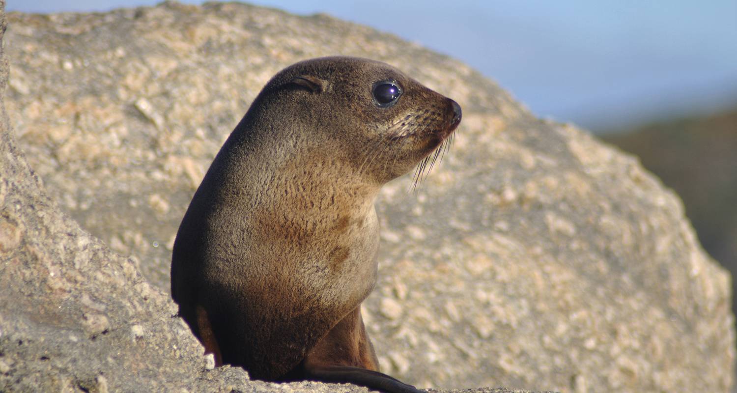 10-Day New Zealand Tour Packages