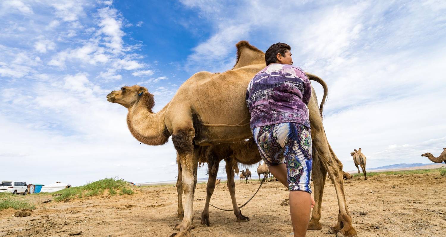 Visita turística Circuitos en Mongolia