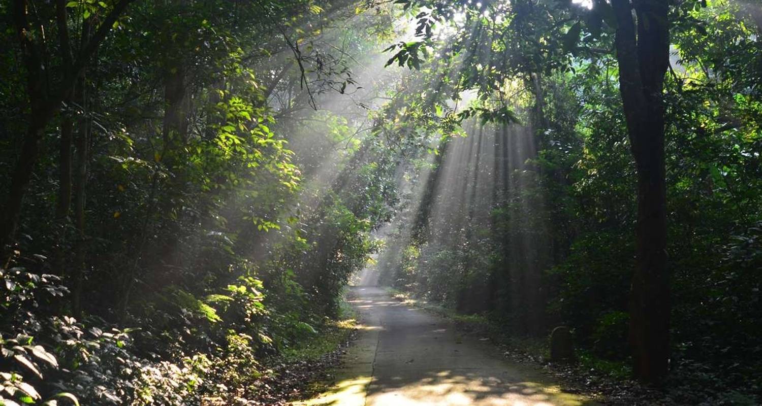 Ninh Binh mit der Limousine - Hoa Lu, Tam Coc, Cuc Phuong Nationalpark - 2 Tage - Asia Pacific Travel